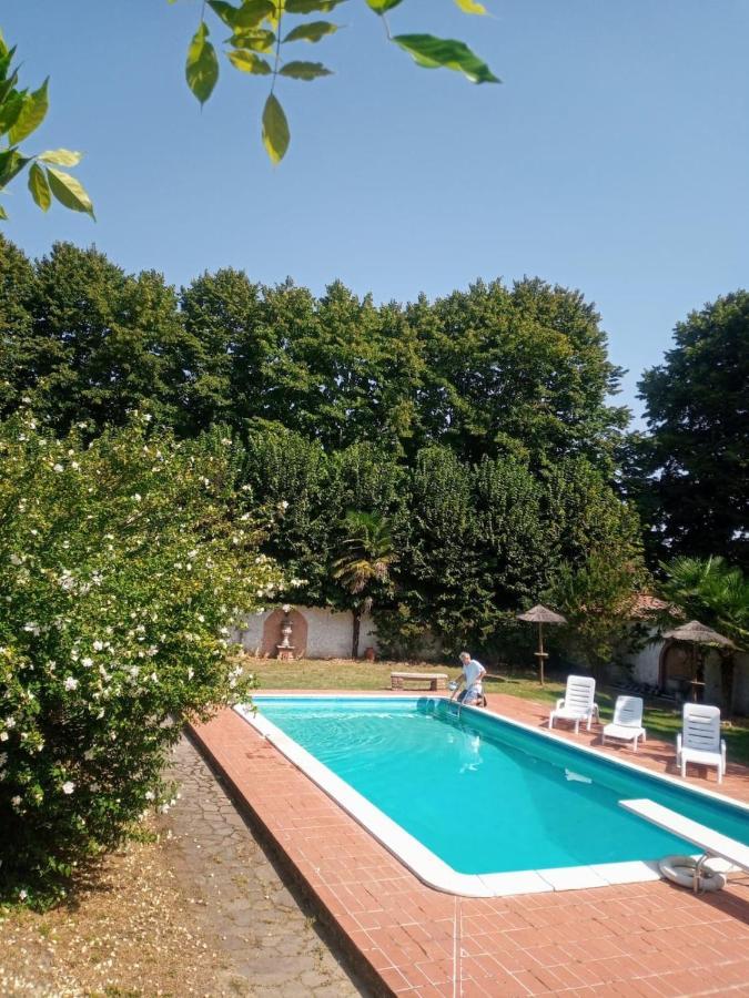 La Dama Con L'Ermellino B&B San Giovanni in Croce Luaran gambar