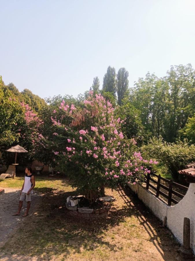 La Dama Con L'Ermellino B&B San Giovanni in Croce Luaran gambar